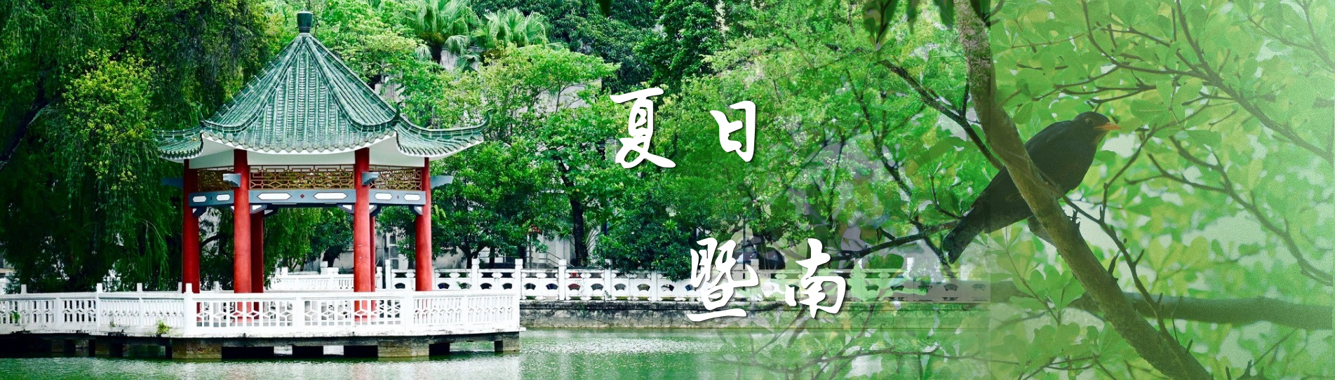 夏日暨南