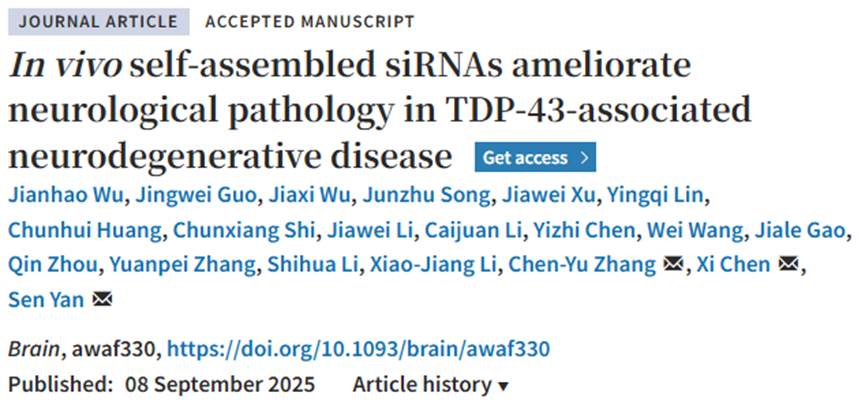 论文截图 配图1