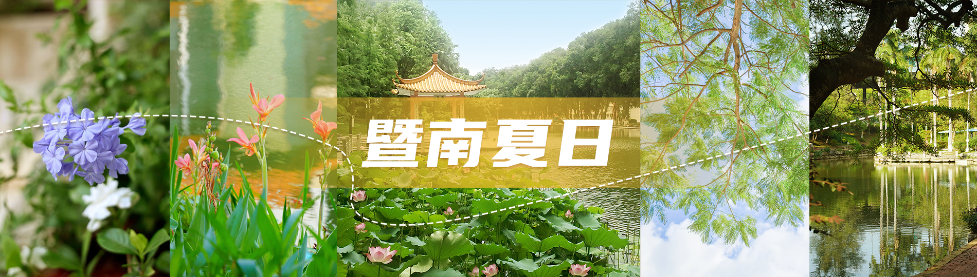暨南夏日